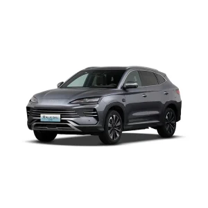 سانگ پلاس BYD - Image 25