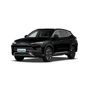 سانگ پلاس BYD - Image 24